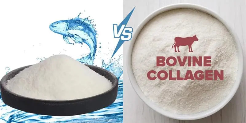 Marine Collagen vs Bovine Collagen