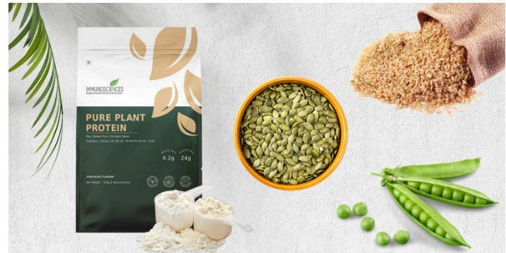 What is Plant-Based Protein Powder? Everything You Need To Know - IMMUNOSCIENCES
