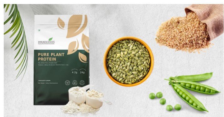 What is Plant-Based Protein Powder? Everything You Need To Know - IMMUNOSCIENCES
