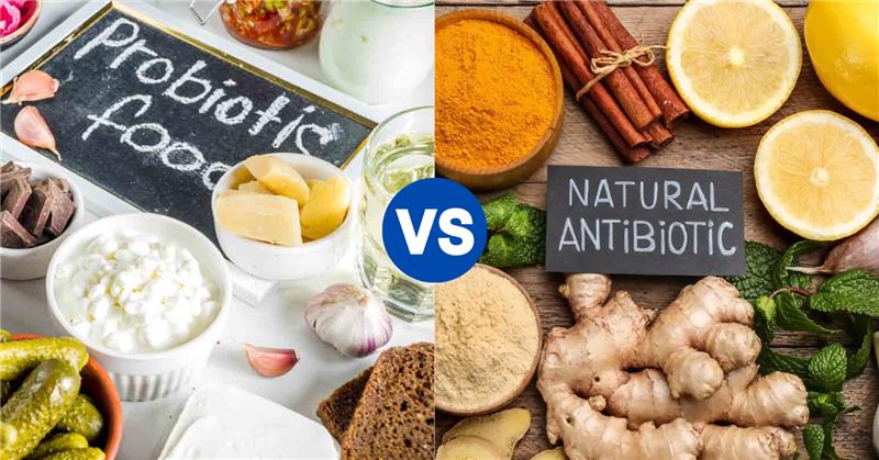 7 Key Differences Between Probiotics and Antibiotics - IMMUNOSCIENCES