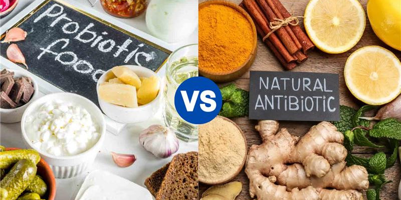 7 Key Differences Between Probiotics and Antibiotics - IMMUNOSCIENCES