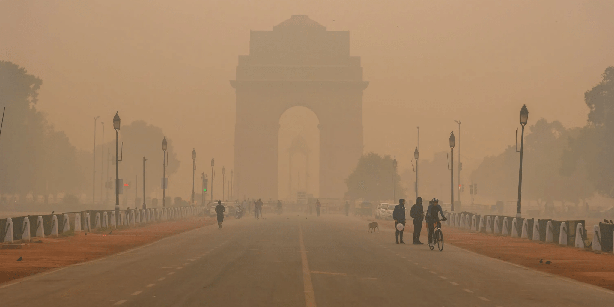 Delhi’s Air Pollution Is Killing You Inside-Out - IMMUNOSCIENCES