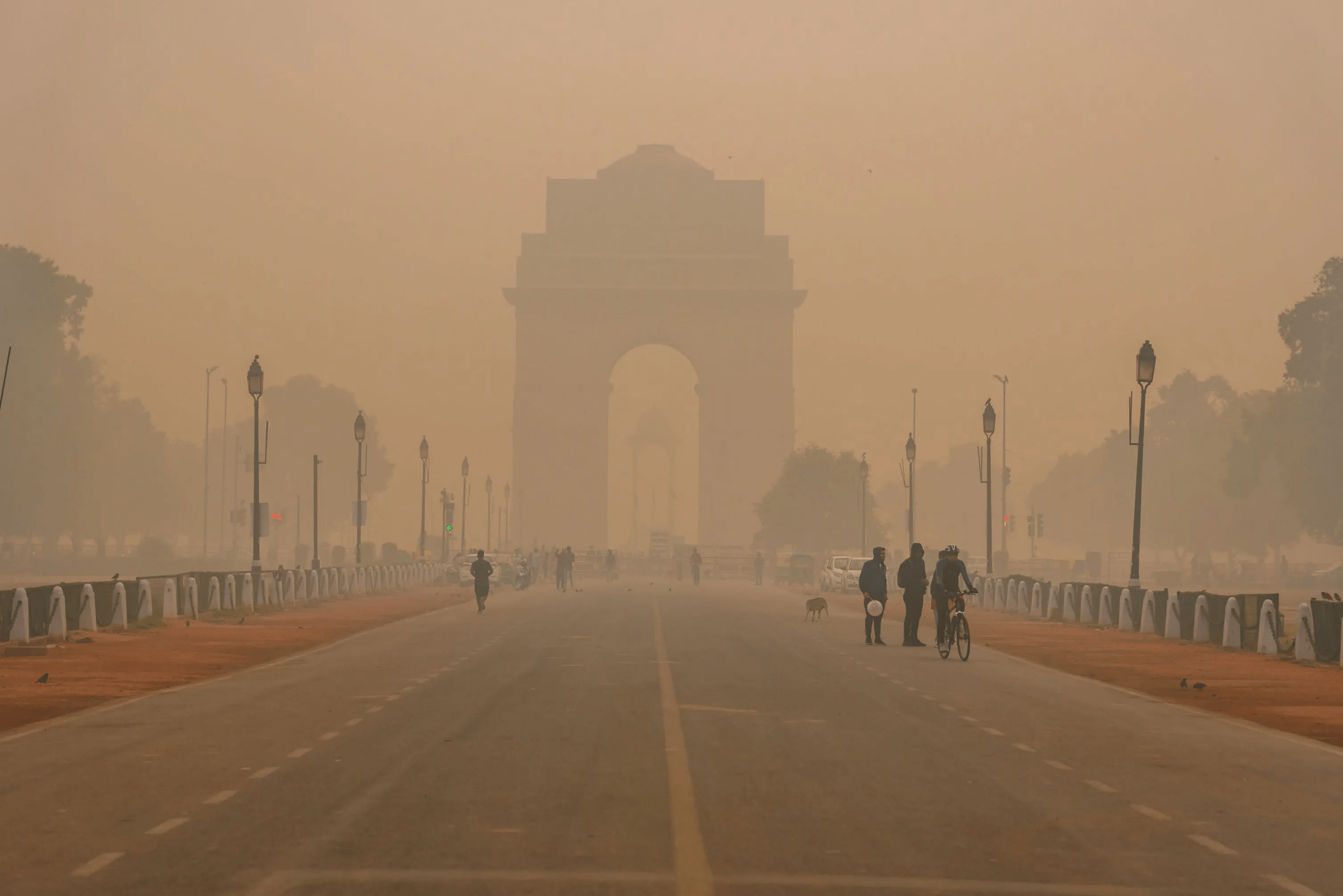 Delhi’s Air Pollution Is Killing You Inside-Out - IMMUNOSCIENCES