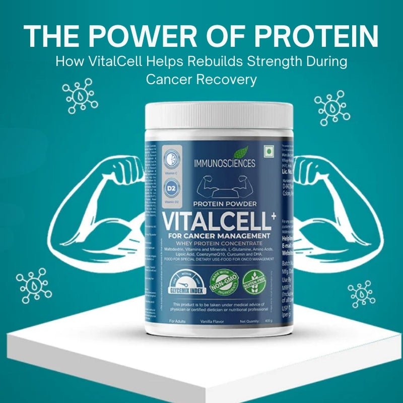 The Power of Protein: How VitalCell Helps Rebuilds Strength During Cancer Recovery - IMMUNOSCIENCES