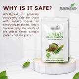 why wheatgrass is it safe