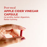 Apple Cider Vinegar – Sugar - Free, Supports Digestion & Weight Management - IMMUNOSCIENCES