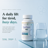 Can Reset Clinical Cellular Support Formula | Advanced Plant-Based Supplement with Botanical Extracts, DHA & CoQ10 for Cellular Protection, Immune Wellness, Oxidative Stress Management & Daily Health | 120 Capsules