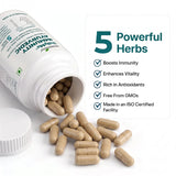 Ayurvedic Immunity Booster – Natural Herbs for Daily Immune Support & Wellness