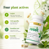 Health Reset – Advanced Detox & Cellular Health Support Supplement – 60 Capsules