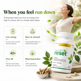 Health Reset – Advanced Detox & Cellular Health Support Supplement – 60 Capsules