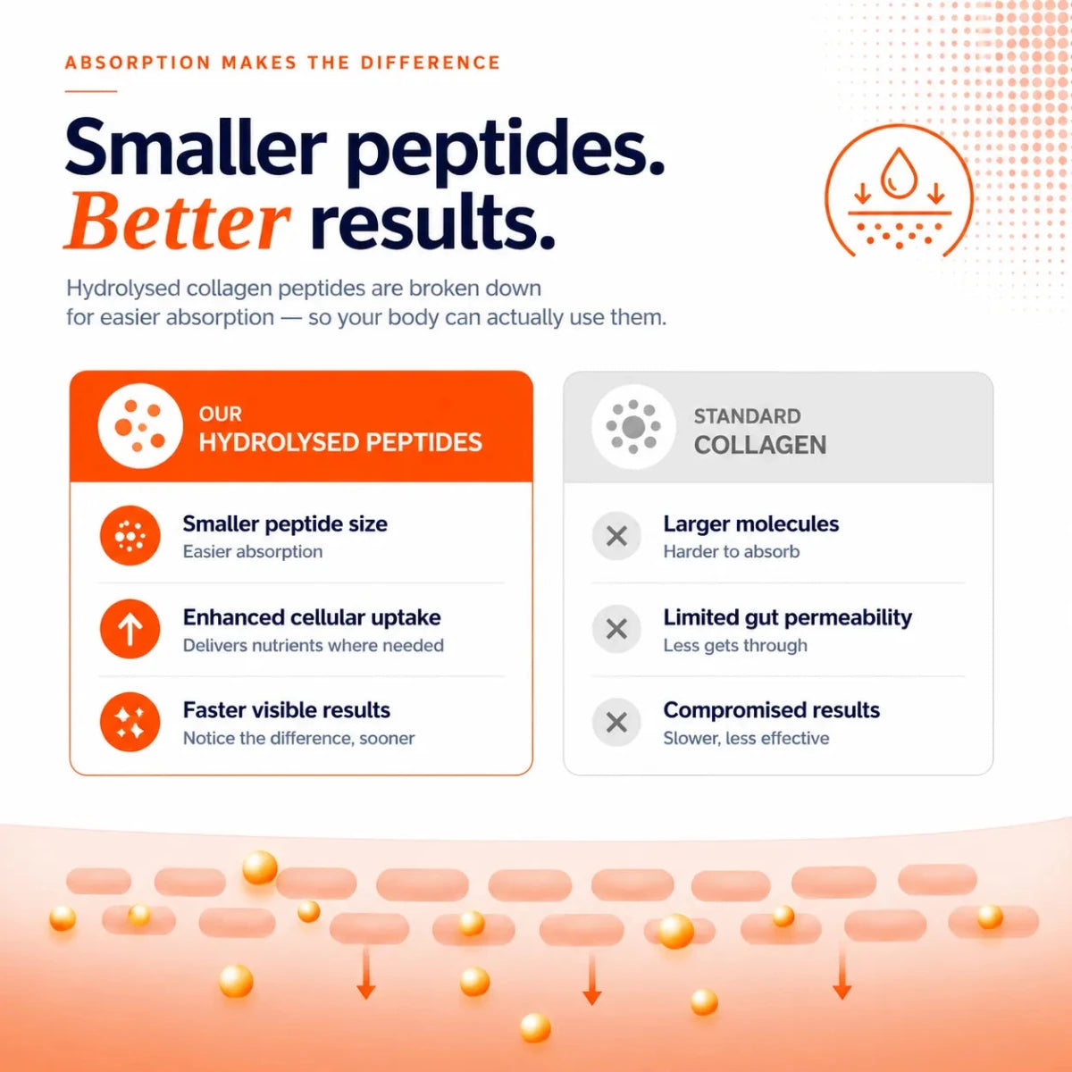 Korean Marine Collagen Powder for Glowing Skin, Hair & Nails | Hydrolyzed Collagen Peptides | Anti-Aging Supplement - IMMUNOSCIENCES