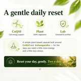 Health Reset – Advanced Detox & Cellular Health Support Supplement – 60 Capsules