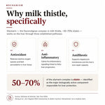 Milk Thistle infographic explaining silymarin and its antioxidant role in supporting liver wellness.