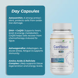 Can Reset – Advanced Cellular Detox & Immune Support Supplement