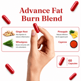 Apple Cider Vinegar (ACV) Sugar-Free Capsules for Appetite Support & Active Lifestyle – Sugar-Free, No-Bloat Formula