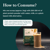 Pure Plant Protein Sachet – 24g Vegan Chocolate Protein with DigeZyme®, BCAAs & Essential Amino Acids