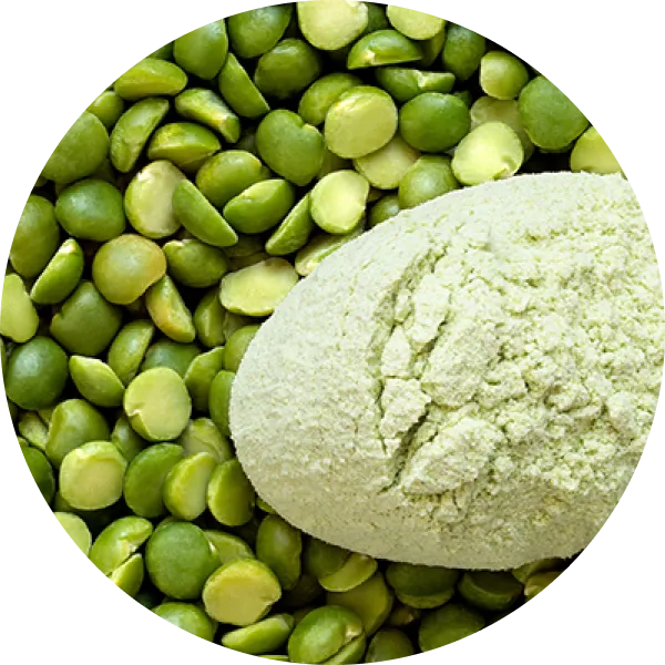 Pea Protein Isolate