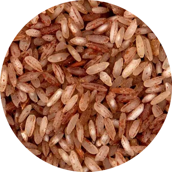 Brown Rice Protein