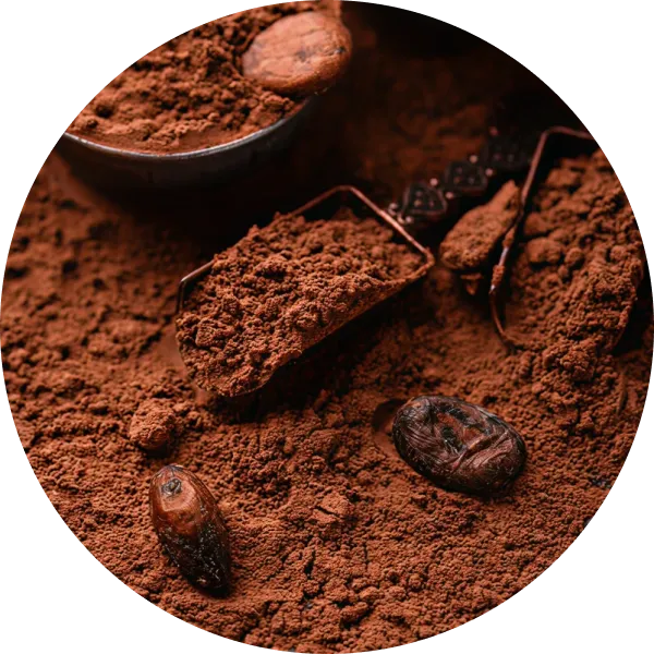Cocoa Powder
