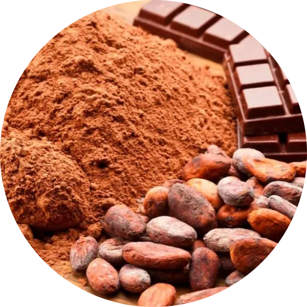 Natural Chocolate Flavour