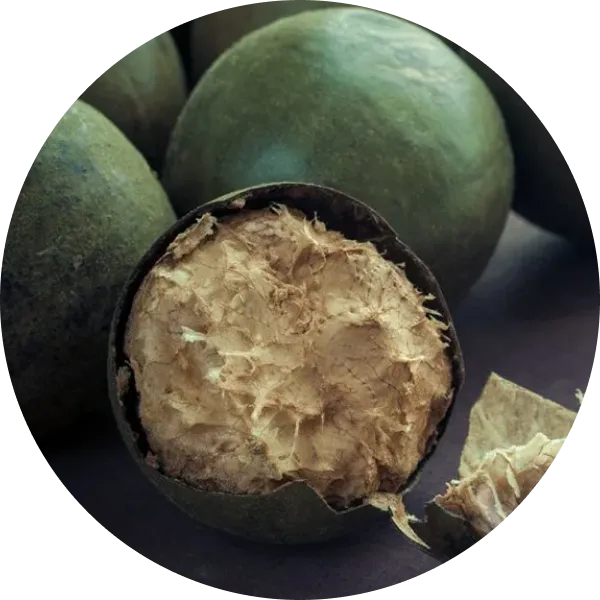 Monk Fruit