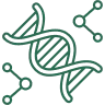 Complete plant protein