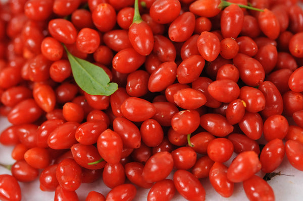 Goji Berry Extract