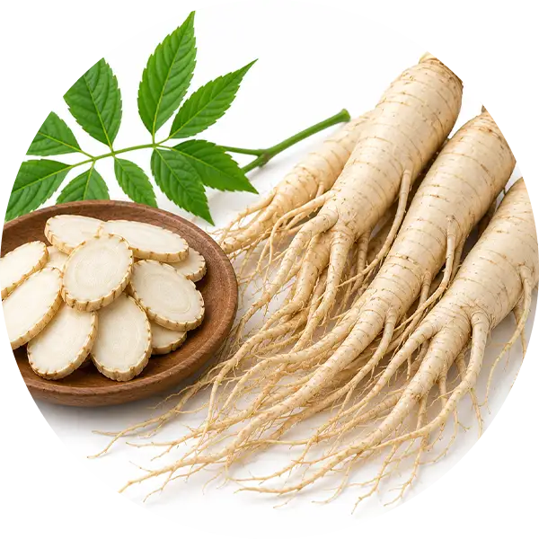 Ginseng Extract