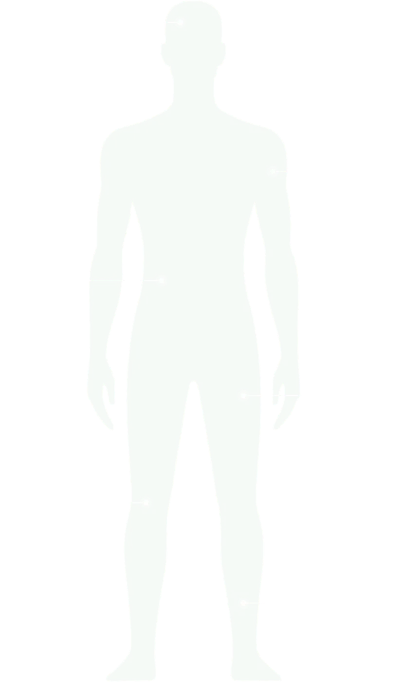 Body system diagram