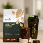 Pure Plant Protein – 24g Vegan Chocolate Protein with DigeZyme®, BCAAs & 9 Essential Amino Acids | Muscle Recovery, Energy & Digestive Support - IMMUNOSCIENCES