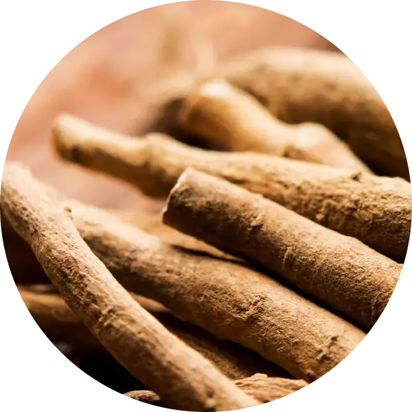 Ashwagandha Root Extract
