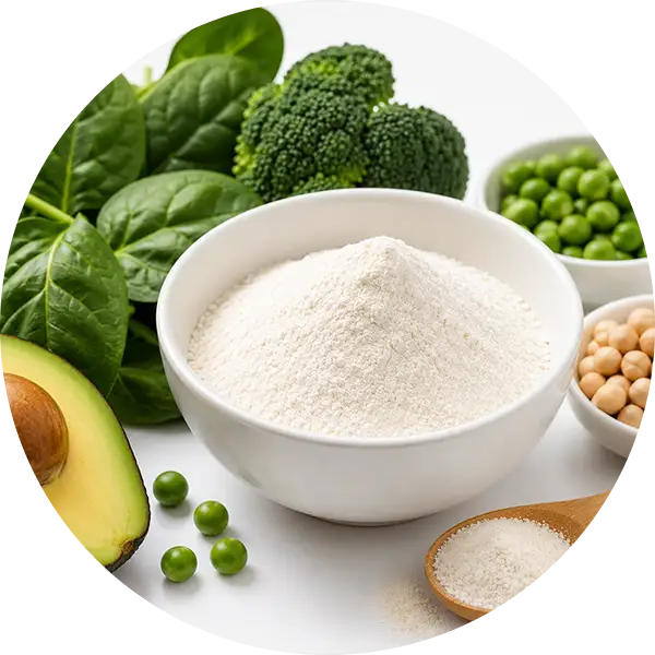Folic Acid