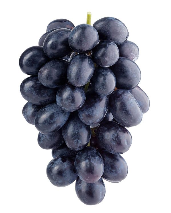 Grape Seed Extract