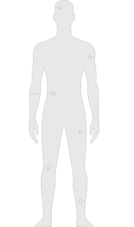 Body system diagram