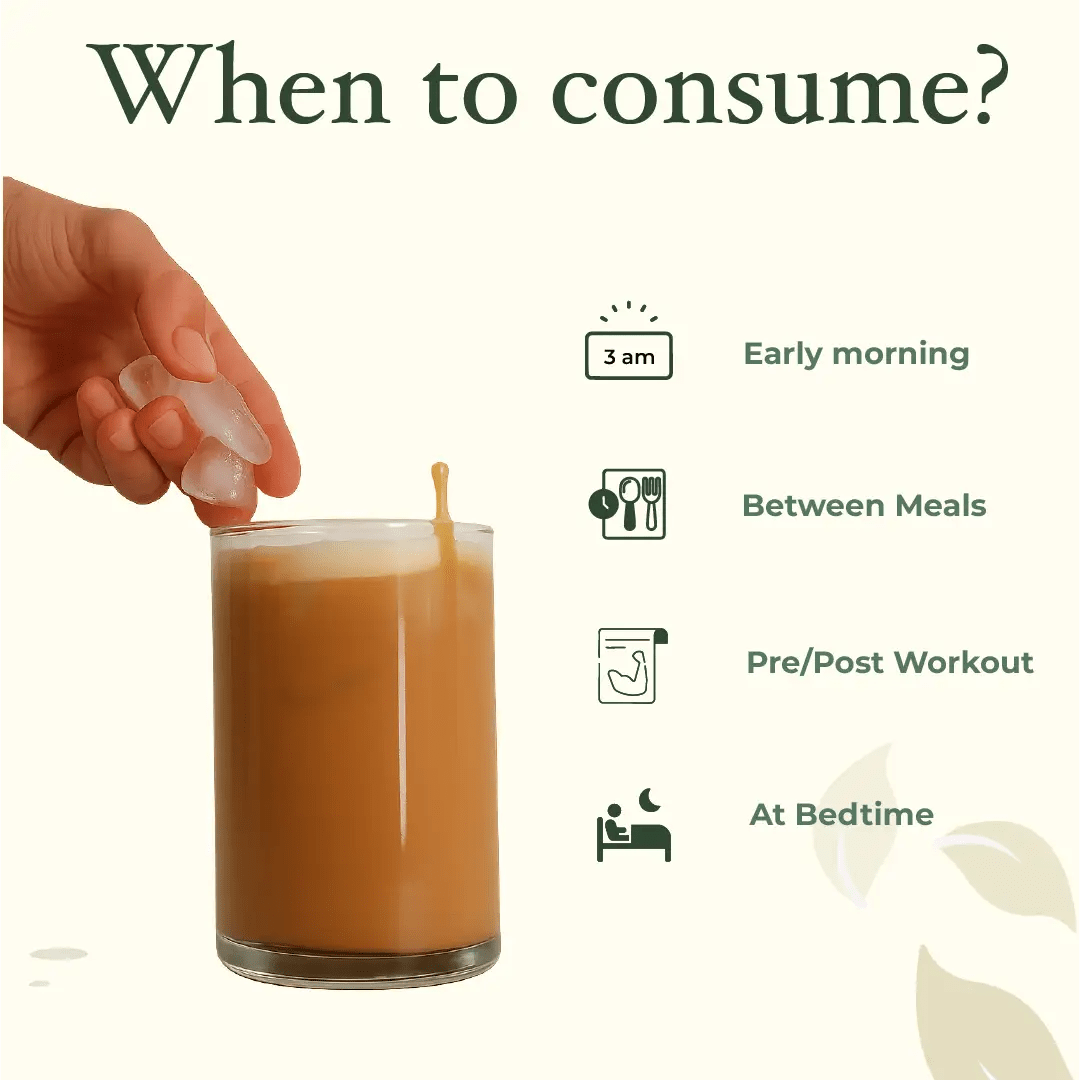 vegan plant protein powder